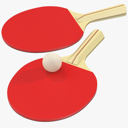 Ping Pong Paddle Set + 3 Balls Sports Game + Free Shipping 