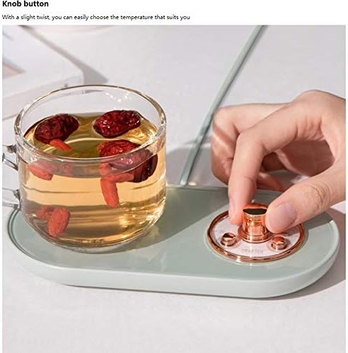 Glass Warmer + Free Shipping 