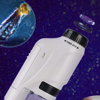 Portable Toy Microscope + Free Shipping 