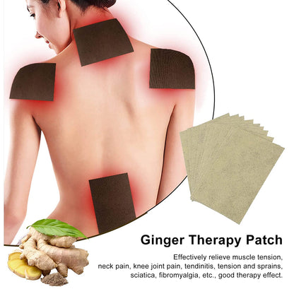 Heat Patches for Pain Relief + Free Shipping