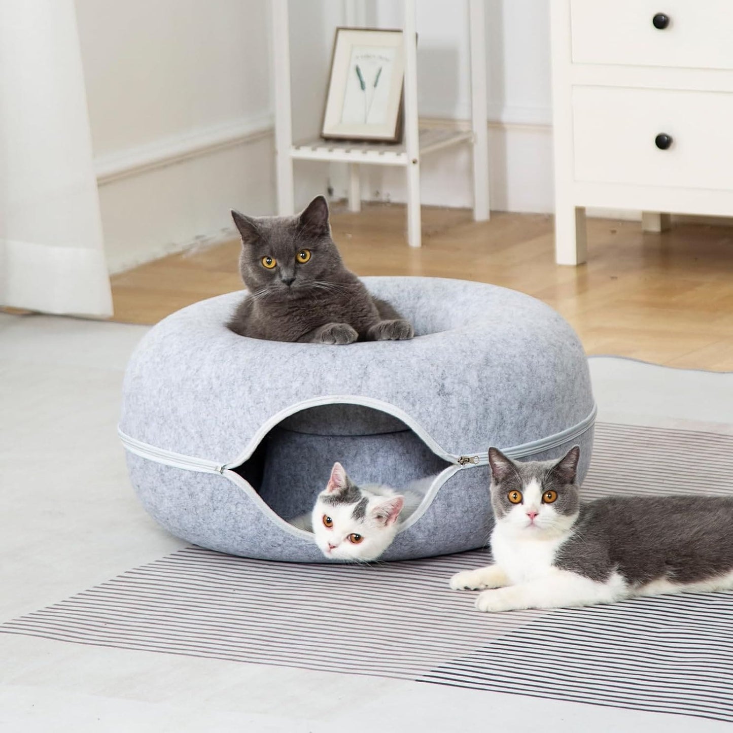 Pet Tunnel Bed + Free Shipping