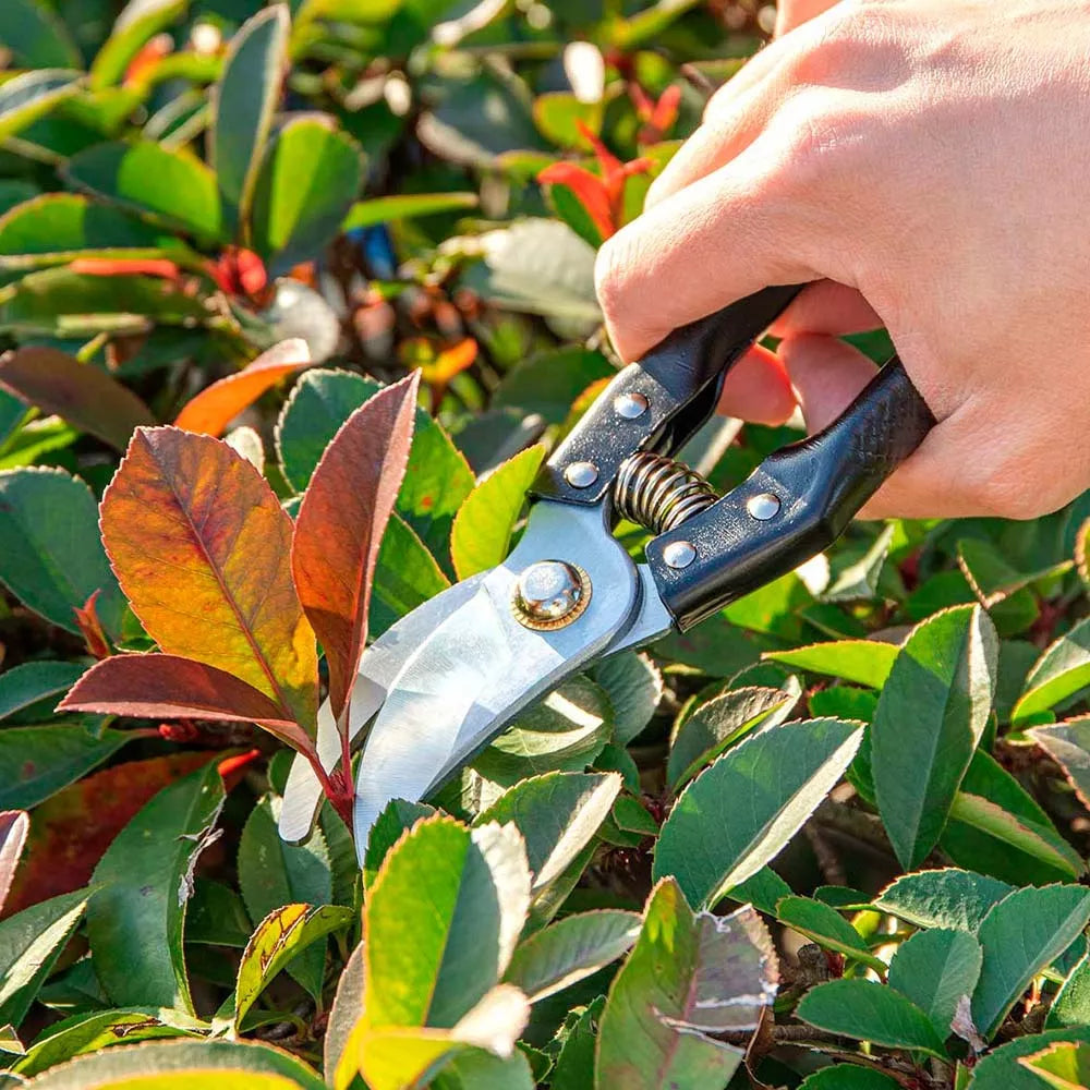 Pruning Shears For Gardening + Free Shipping 