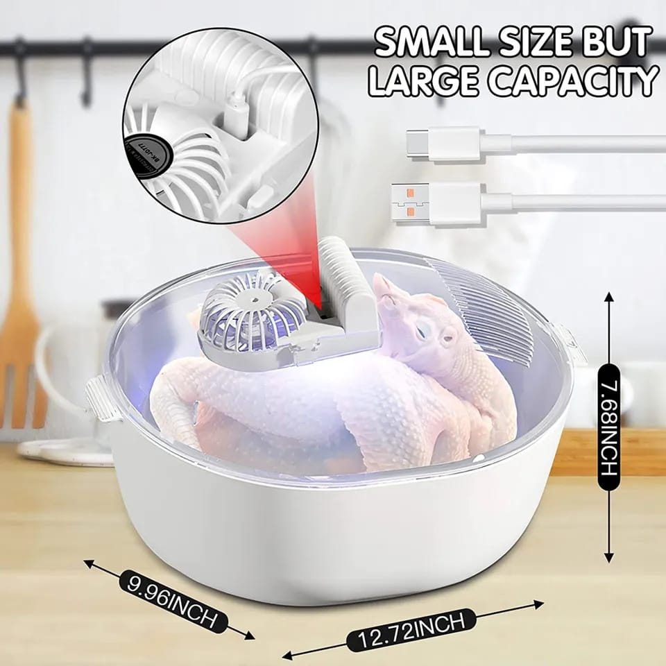 4 in 1 Food Defroster and Purifier + Free Shipping. 