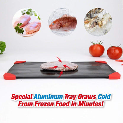 Fast Food Defrosting Tray + Free Shipping 