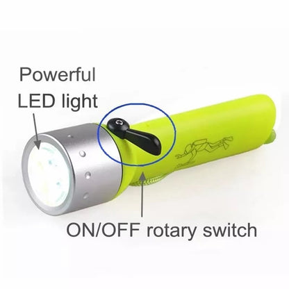 Waterproof LED Diving Flashlight + Free Shipping 