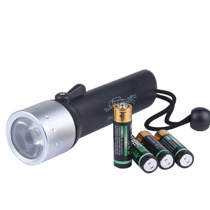 Waterproof LED Diving Flashlight + Free Shipping 