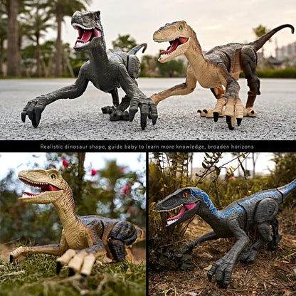 Remote Control Velociraptor Dinosaur + Free Shipping 