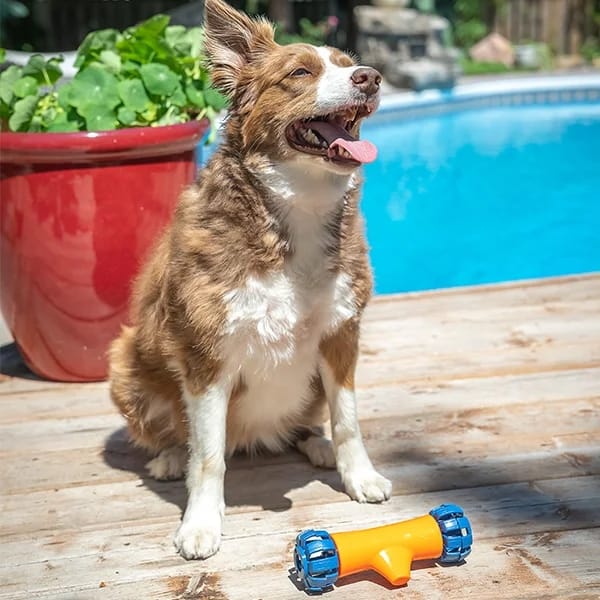 Dispensador Robótico De Golosinas Para Perros