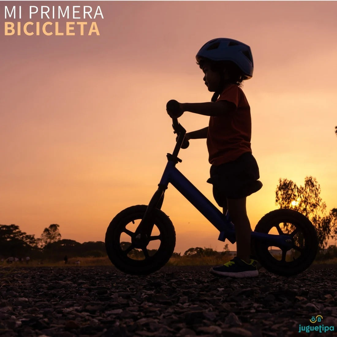 Bicicleta De Equilibrio Para Niños Sin Pedales + Envio Gratis