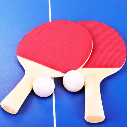 Ping Pong Paddle Set + 3 Balls Sports Game + Free Shipping 