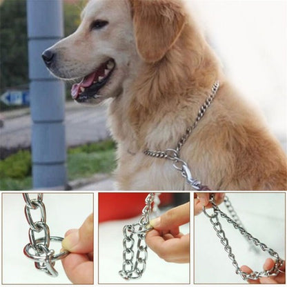 Metal Collar for Pets