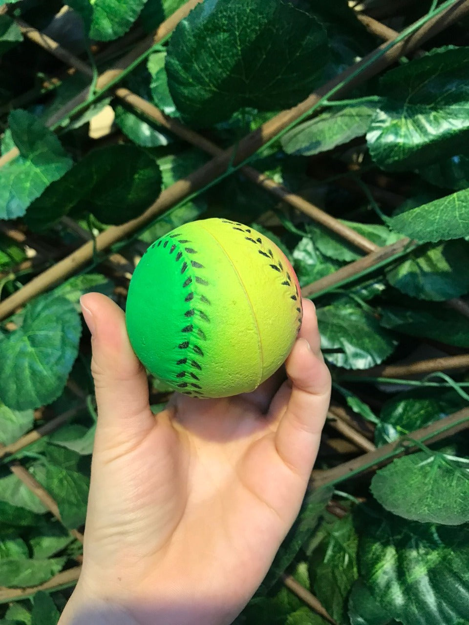 Rubber balls for dogs with designs