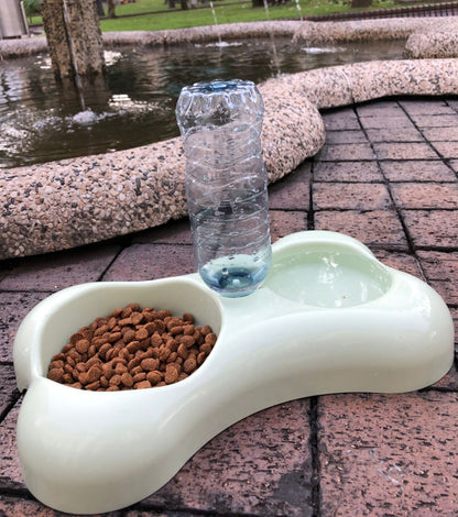 Dog Feeder With Automatic Water Dispenser