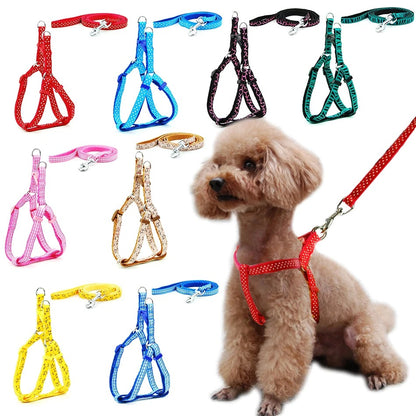 Collar with leash for small dogs with designs