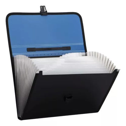 Letter Size Expanding File Folder with Handle, 13 Pocket Organizer 