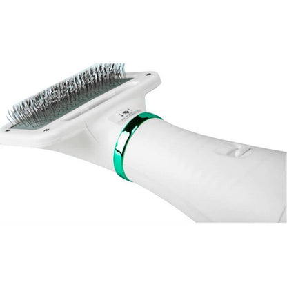 2 in 1 Pet Hair Dryer Brush