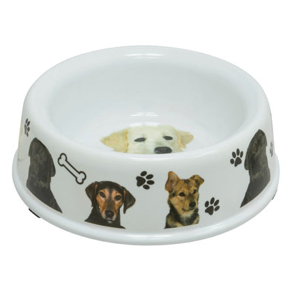 Deep Bowl Feeder for Pets