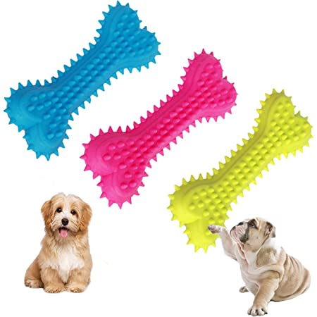 Solid Bone Dog Tooth Cleaning Toy