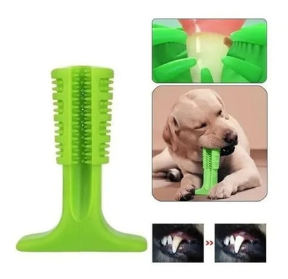 Dog chewing teeth cleaning toy