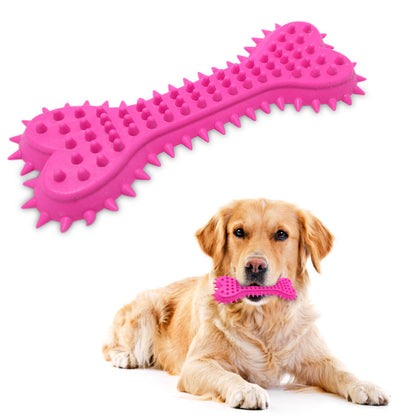 Solid Bone Dog Tooth Cleaning Toy