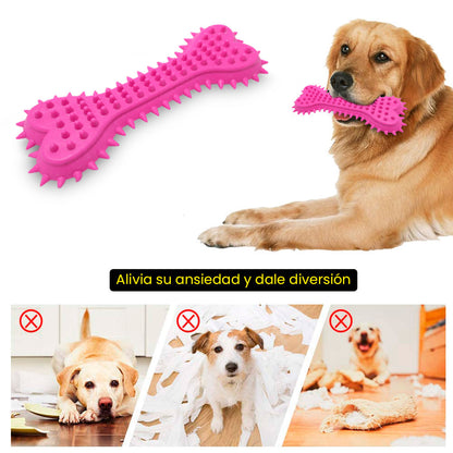 Hueso Macizo Juguete Limpiador De Dientes Para Perros