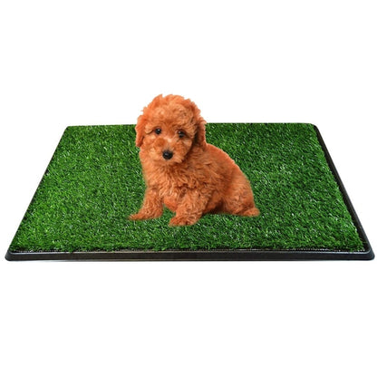 Pet Training Mat + Free Shipping