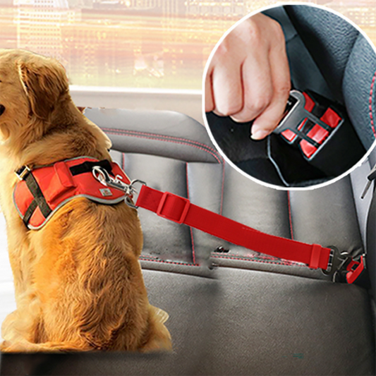 Dog Seat Belt