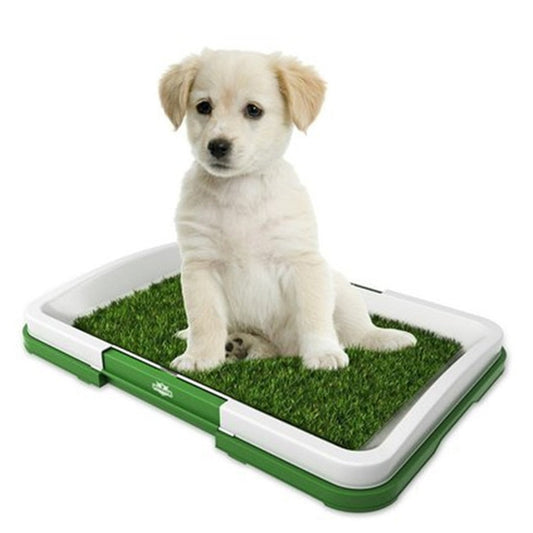 3 in 1 Dog Training Mat + Free Shipping