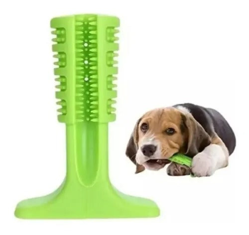 Dog chewing teeth cleaning toy