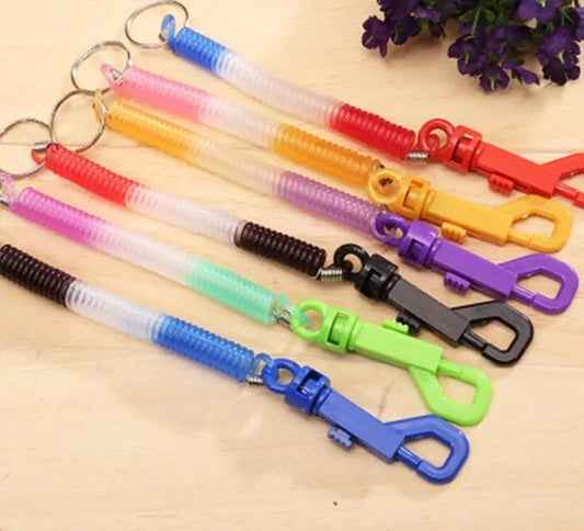 Flexible Spiral Spring Keychain