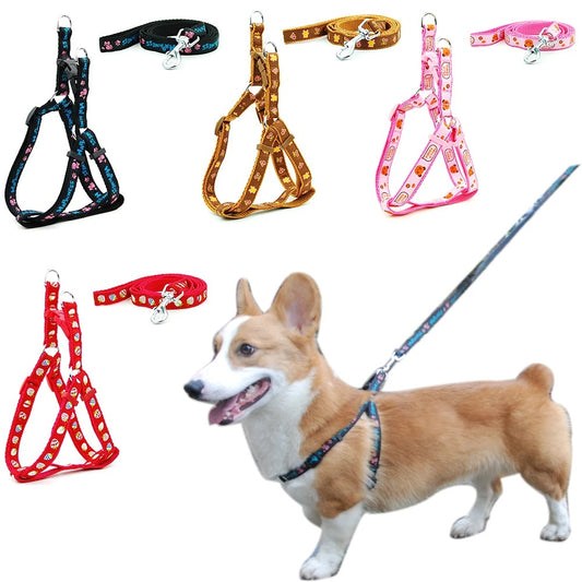 Collar with leash for small dogs with designs