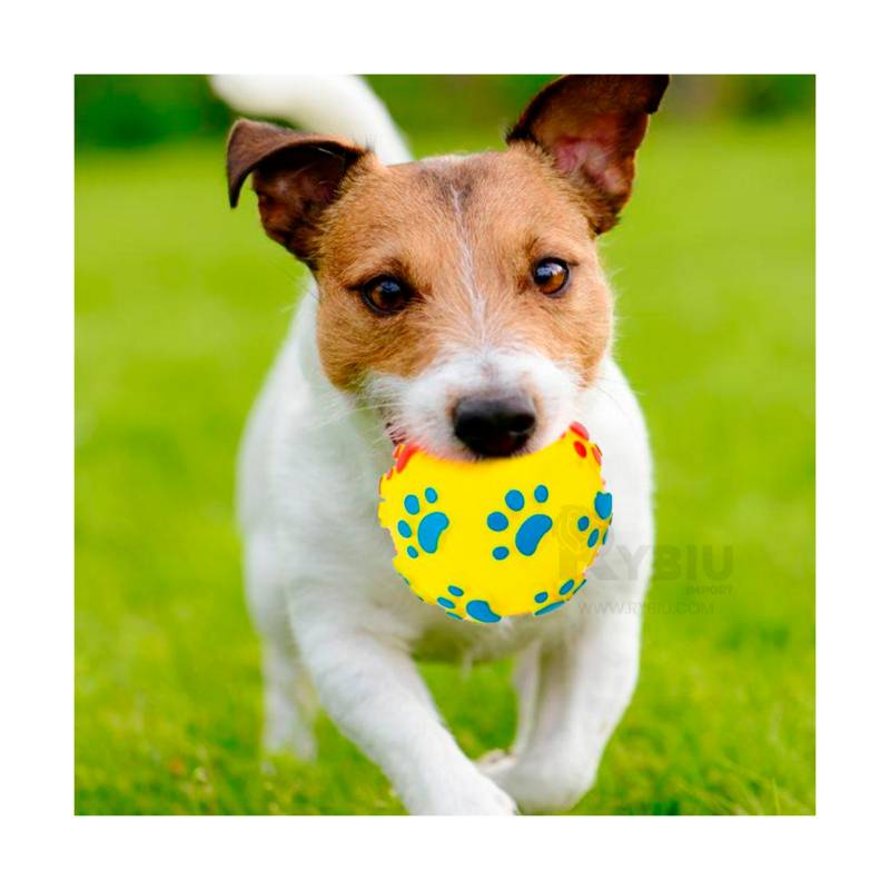 Pelota Con Sonido Para Macota